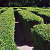 Bamboo Root Control System - Barrier Control