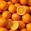 Sicilian Orange Tree