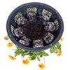 Easy Fill Hanging Baskets Easy Fill Hanging Baskets