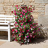 Tower Planter and Trellis Tower Planter and Trellis