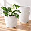 Magnolia Eco White Houseplant Pot Covers Magnolia Eco White Houseplant Pot Covers