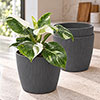 Magnolia Eco Anthracite Houseplant Pot Covers Magnolia Eco Anthracite Houseplant Pot Covers