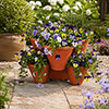Stackable Planters Stackable Planters