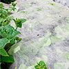 Frost Protection Fleece Roll 15m x 1m Frost Protection Fleece Roll 15m x 1m