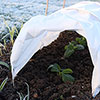 Frost Protection Fleece Roll 15m x 1m Frost Protection Fleece Roll 15m x 1m