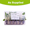 Complete Hardy Garden Perennial Collection Complete Hardy Garden Perennial Collection
