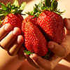 Complete Strawberry Sweet Colossus Patio Collection