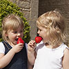 Complete Strawberry Sweet Colossus Patio Collection