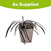 Ophiopogon Black Dragon Grass