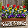 Drop In Bulb Planter Balcony Beauty Drop In Bulb Planter Balcony Beauty