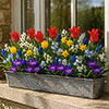 Drop In Bulb Planter Balcony Beauty Drop In Bulb Planter Balcony Beauty