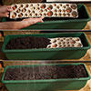 Drop In Bulb Planter Balcony Beauty Drop In Bulb Planter Balcony Beauty