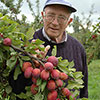 Plum Victoria Plum Victoria