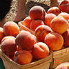 Patio Peach Crimson Tree Patio Peach Crimson Tree