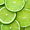 Citrus Lime Tree with Fruit