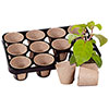 Skelly Tray and Jiffy Pots Skelly Tray and Jiffy Pots