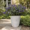 Somerville Tall Pebble White Planters