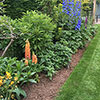 Strulch Mineralised Straw Garden Mulch