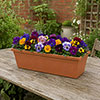 Terracotta Leonardo Window Box Terracotta Leonardo Window Box