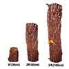 Tree Fern Dicksonia Antarctica Log Tree Fern Dicksonia Antarctica Log