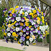 Pre-Planted Pansy Cool Wave Hanging Baskets