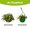Pre-Planted Pansy Cool Wave Hanging Baskets