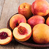 Nectarine Tree Prunus Flavourtop Nectarine Tree Prunus Flavourtop