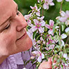 Philadelphus Petite Perfume Pink