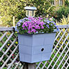 Revolutionary 3-in-1 Fence Planter, Birdbox and Solar Light