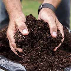 Premium Professional Compost