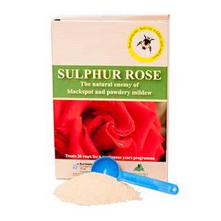 Sulphur Rose Tonic 250g