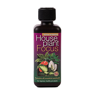 Houseplant Focus Feed 300ml