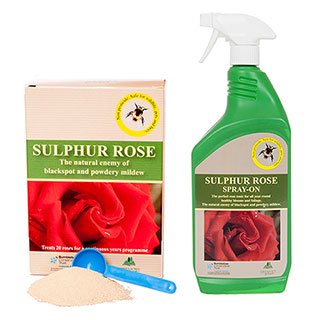 Rose Care Kit