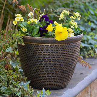 Cromarty Antique Gold Planters