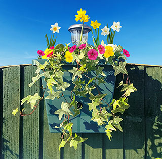 Revolutionary 4-in-1 Self-Watering Fence Planter and Solar Light - Forest Green