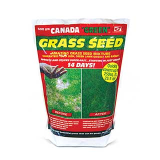 Canada Green Grass Seed