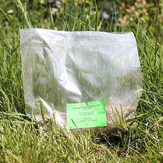 Multi-Purpose & Hardwearing Grass Seed Mix - 500g