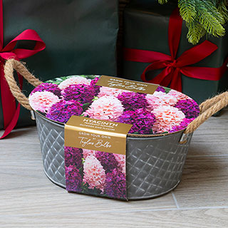 Outdoor Metal Trough Hyacinth Planter