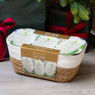 White Hyacinth Indoor Basket