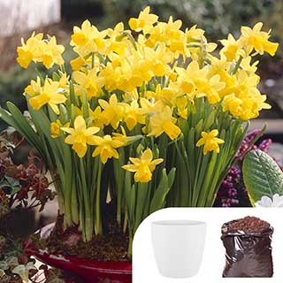 Indoor Tete a Tete Kit