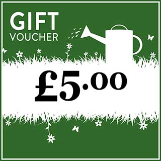 eGift Voucher