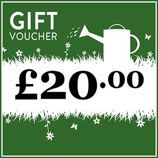 eGift Voucher