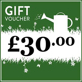 eGift Voucher