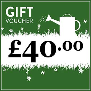 eGift Voucher