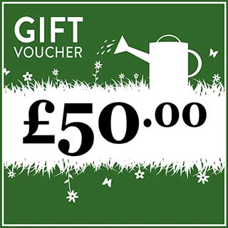 eGift Voucher