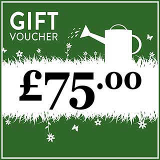 eGift Voucher