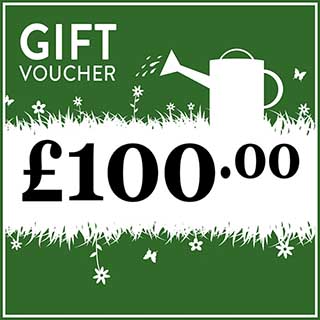 eGift Voucher