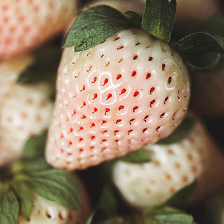 Strawberry 'Pineberry'
