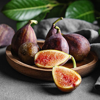 Sicilian Fig Mini Standards