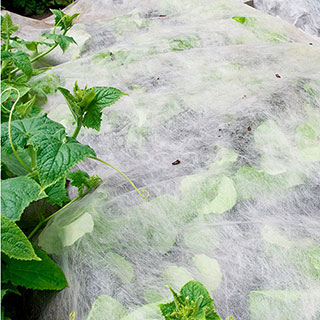 Frost Protection Fleece Roll 15m x 1m